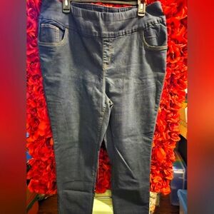 Woman Within Women's Size 22W Blue Jeans Leggings